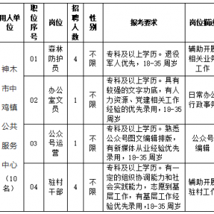 榆林神木市中雞鎮(zhèn)公共服務中心招聘公告（10人）