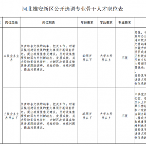 河北雄安新區(qū)選調(diào)專(zhuān)業(yè)骨干人才13名公告