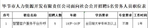 貴州畢節(jié)農(nóng)村商業(yè)銀行股份有限公司招聘派遣制人員公告