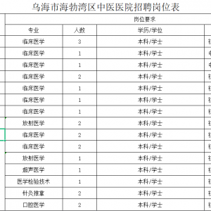 烏海海勃灣區(qū)中醫(yī)醫(yī)院招聘23專業(yè)技術(shù)人員公告