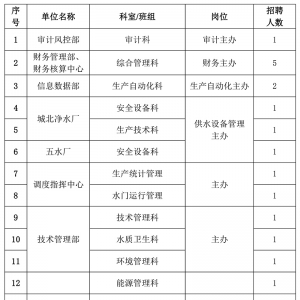 沈陽(yáng)水務(wù)集團(tuán)有限公司校園公開(kāi)招聘30人公告