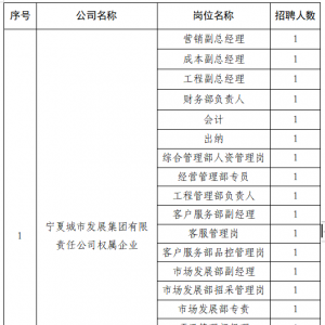 2023年寧夏城市發(fā)展集團(tuán)公開招聘公告