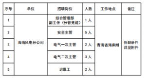 13人！國家電投集團(tuán)黃河公司海南風(fēng)電分公司招聘