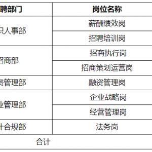 貴陽市投資控股集團(tuán)有限公司招聘12人公告