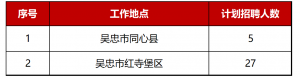 吳忠農(nóng)村電力服務(wù)有限公司招聘公告（32人）