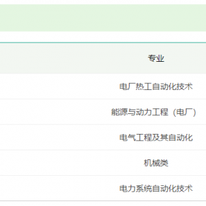 中國大唐集團(tuán)有限公司寧夏分公司招聘公告