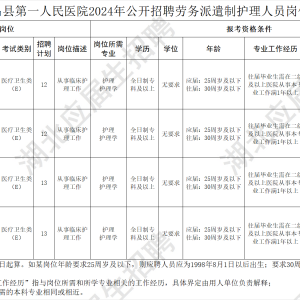 孝昌縣第一人民醫(yī)院2024年公開招聘勞務(wù)派遣制護(hù)理人員公告